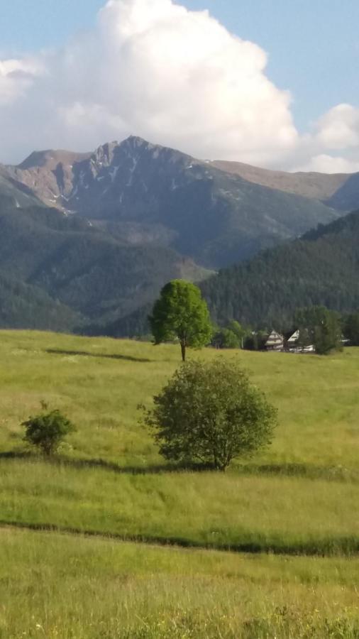 Domek Pod Ubocom Zakopane Esterno foto